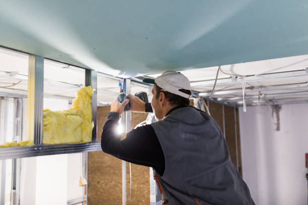 Best Cellulose Insulation in Lawson, MO