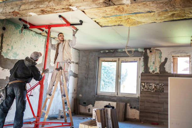 Best Commercial Insulation in Lawson, MO