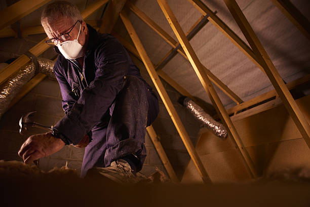 Best Insulation Maintenance and Repair in Lawson, MO